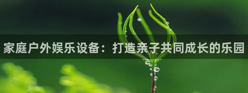 征途国际招商电话号码是多少啊：家庭户外娱乐设备：打造