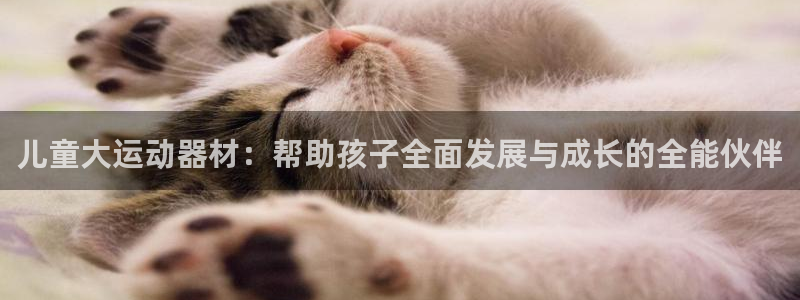 征途国际官方客服电话：儿童大运动器材：帮助孩子全面发