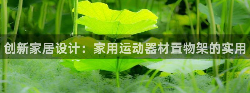征途国际开户：创新家居设计：家用运动器材置物架的实用