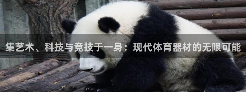 征途国际注册：集艺术、科技与竞技于一身：现代体育器材