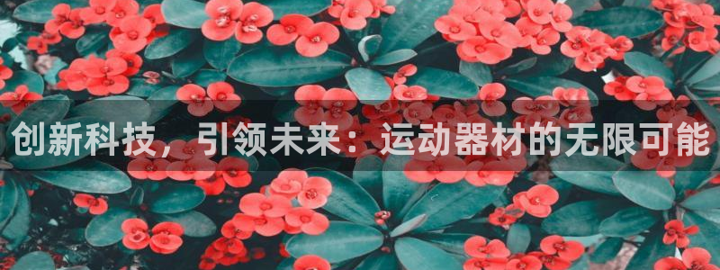 征途国际官方：创新科技，引领未来：运动器材的无限可能