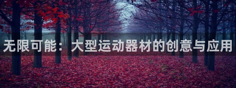征途国际招商电话：无限可能：大型运动器材的创意与应用