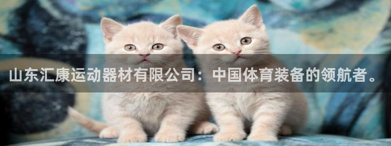 海南征途国际发展怎么样：山东汇康运动器材有限公司：中