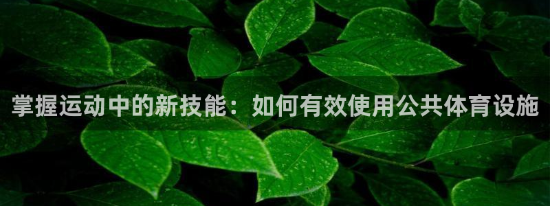 征途国际神州：掌握运动中的新技能：如何有效使用公共体育设施