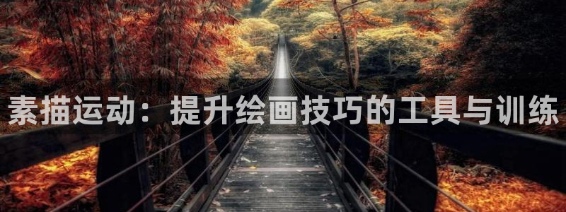 征途国际招商电话地址：素描运动：提升绘画技巧的工具与训练