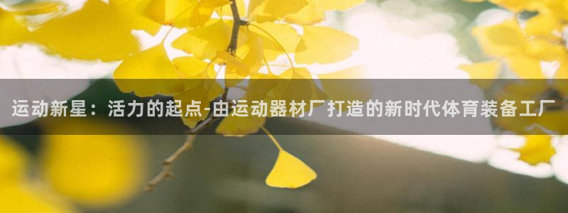 征途国际开户：运动新星：活力的起点-由运动器材厂打造的新时代