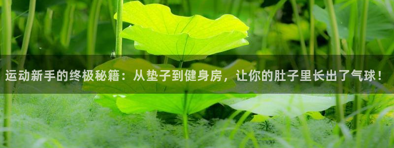 征途国际集团简介