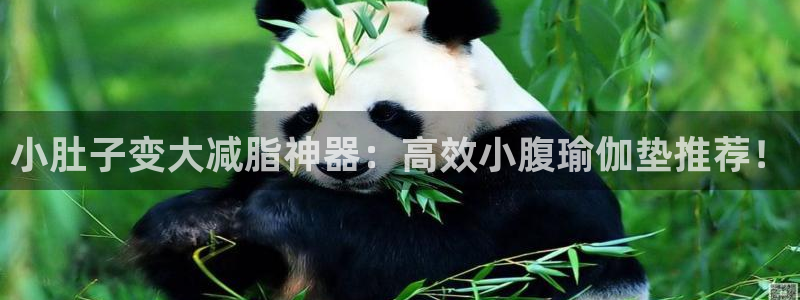征途国际集团官网首页：小肚子变大减脂神器：高效小腹瑜伽垫推荐