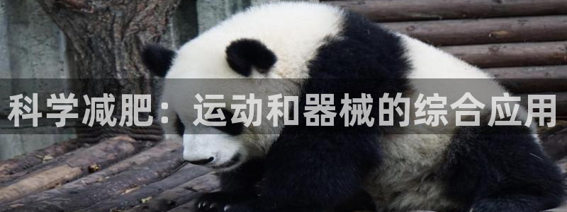 征途国际平台注册流程图：科学减肥：运动和器械的综合应