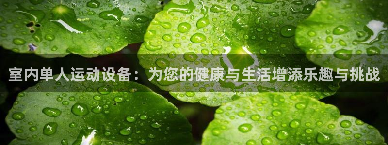 征途国际平台注册流程图：室内单人运动设备：为您的健康