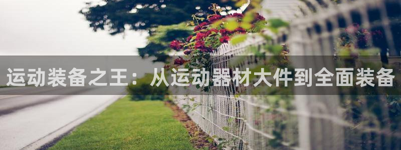 征途国际新能源：运动装备之王：从运动器材大件到全面装备