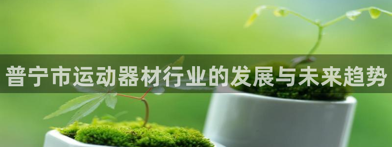 征途国际娱乐是那个系列的台子：普宁市运动器材行业的发